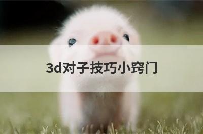 3d对子技巧小窍门