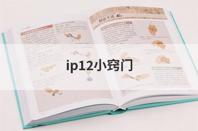 ip12小窍门