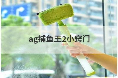 ag捕鱼王2小窍门