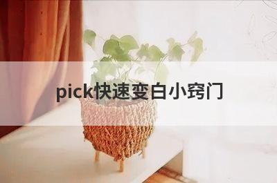 pick快速变白小窍门