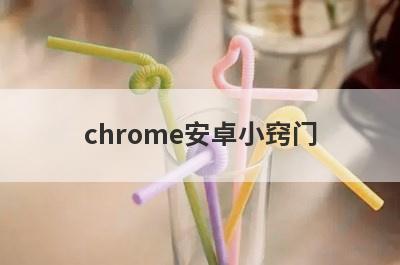 chrome安卓小窍门