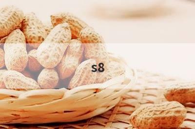 s8