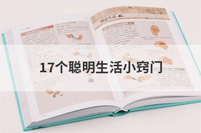 17个聪明生活小窍门
