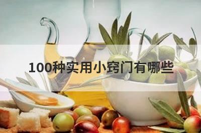 100种实用小窍门有哪些