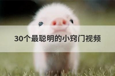 30个最聪明的小窍门视频