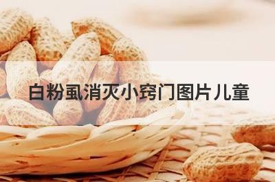白粉虱消灭小窍门图片儿童