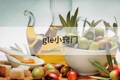 gle小窍门