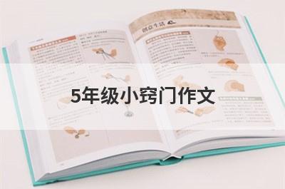 5年级小窍门作文