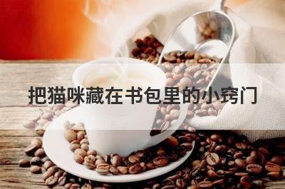 把猫咪藏在书包里的小窍门