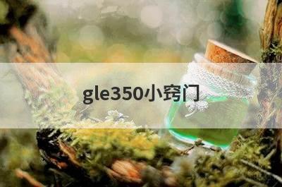 gle350小窍门