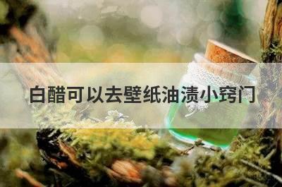 白醋可以去壁纸油渍小窍门
