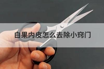 白果内皮怎么去除小窍门(如何去除白果内皮)