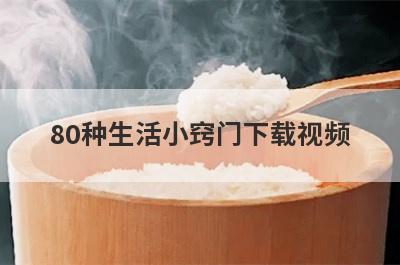 80种生活小窍门下载视频
