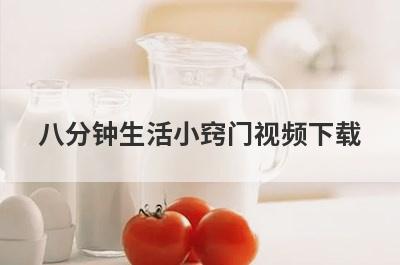 八分钟生活小窍门视频下载