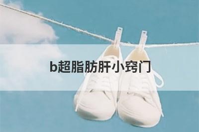 b超脂肪肝小窍门