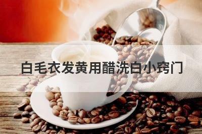 白毛衣发黄用醋洗白小窍门