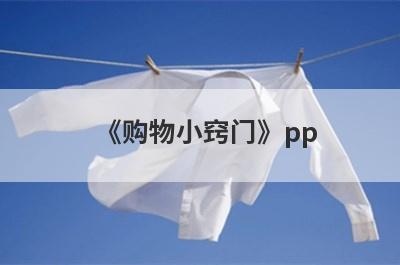 《购物小窍门》pp