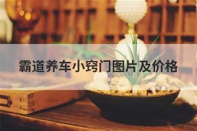 霸道养车小窍门图片及价格
