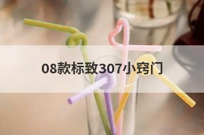 08款标致307小窍门