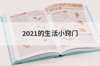 2021的生活小窍门