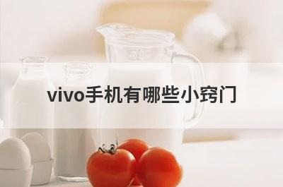 vivo手机有哪些小窍门