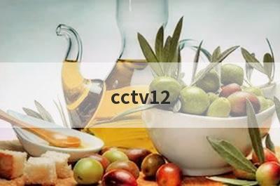 cctv12