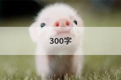 300字