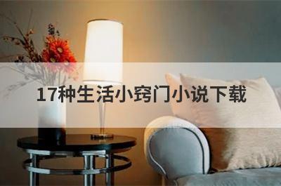 17种生活小窍门小说下载