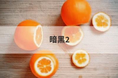 暗黑2 小窍门