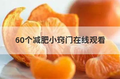 60个减肥小窍门在线观看