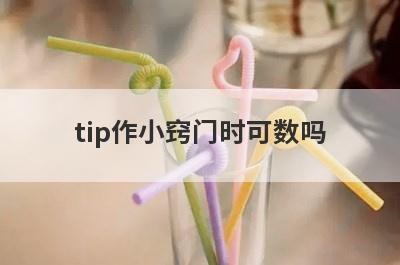 tip作小窍门时可数吗
