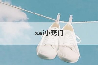 sai小窍门