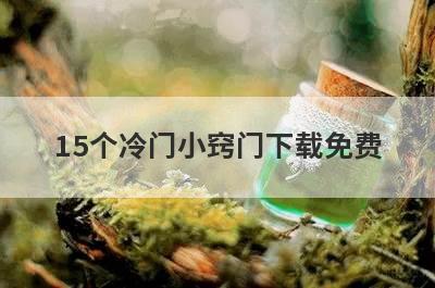 15个冷门小窍门下载免费