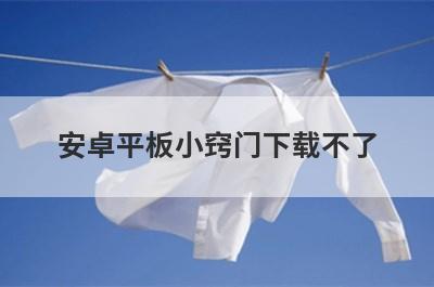 安卓平板小窍门下载不了
