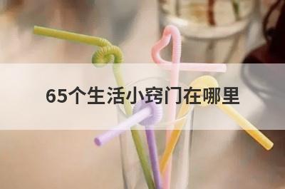 65个生活小窍门在哪里