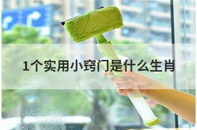 1个实用小窍门是什么生肖