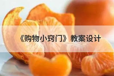 《购物小窍门》教案设计