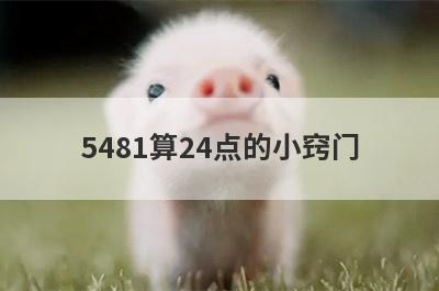 5481算24点的小窍门