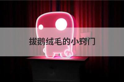 拔鹅绒毛的小窍门