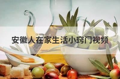 安徽人在家生活小窍门视频