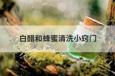 白醋和蜂蜜清洗小窍门