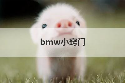 bmw小窍门