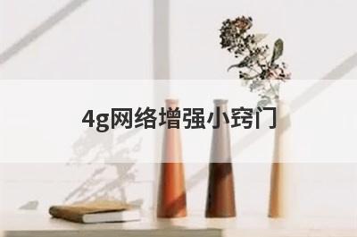 4g网络增强小窍门