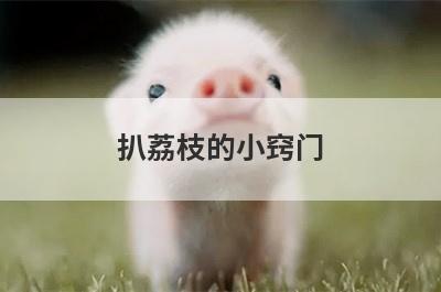 扒荔枝的小窍门(荔枝去核小窍门)
