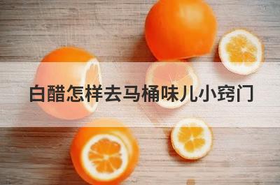 白醋怎样去马桶味儿小窍门