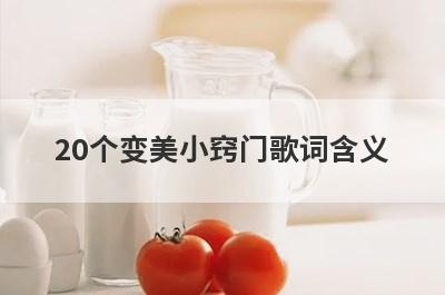 20个变美小窍门歌词含义