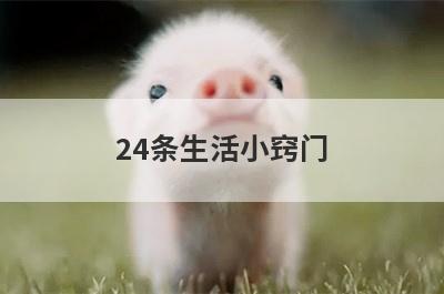24条生活小窍门