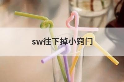 sw往下掉小窍门
