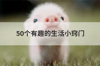 50个有趣的生活小窍门