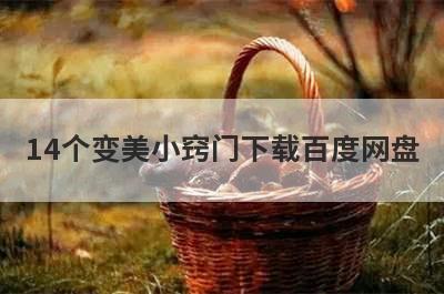 14个变美小窍门下载百度网盘
